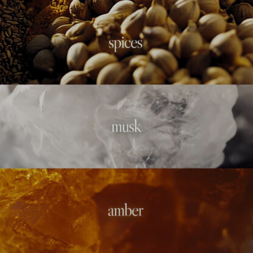 AMBER,MUSK & FRSH SPICY